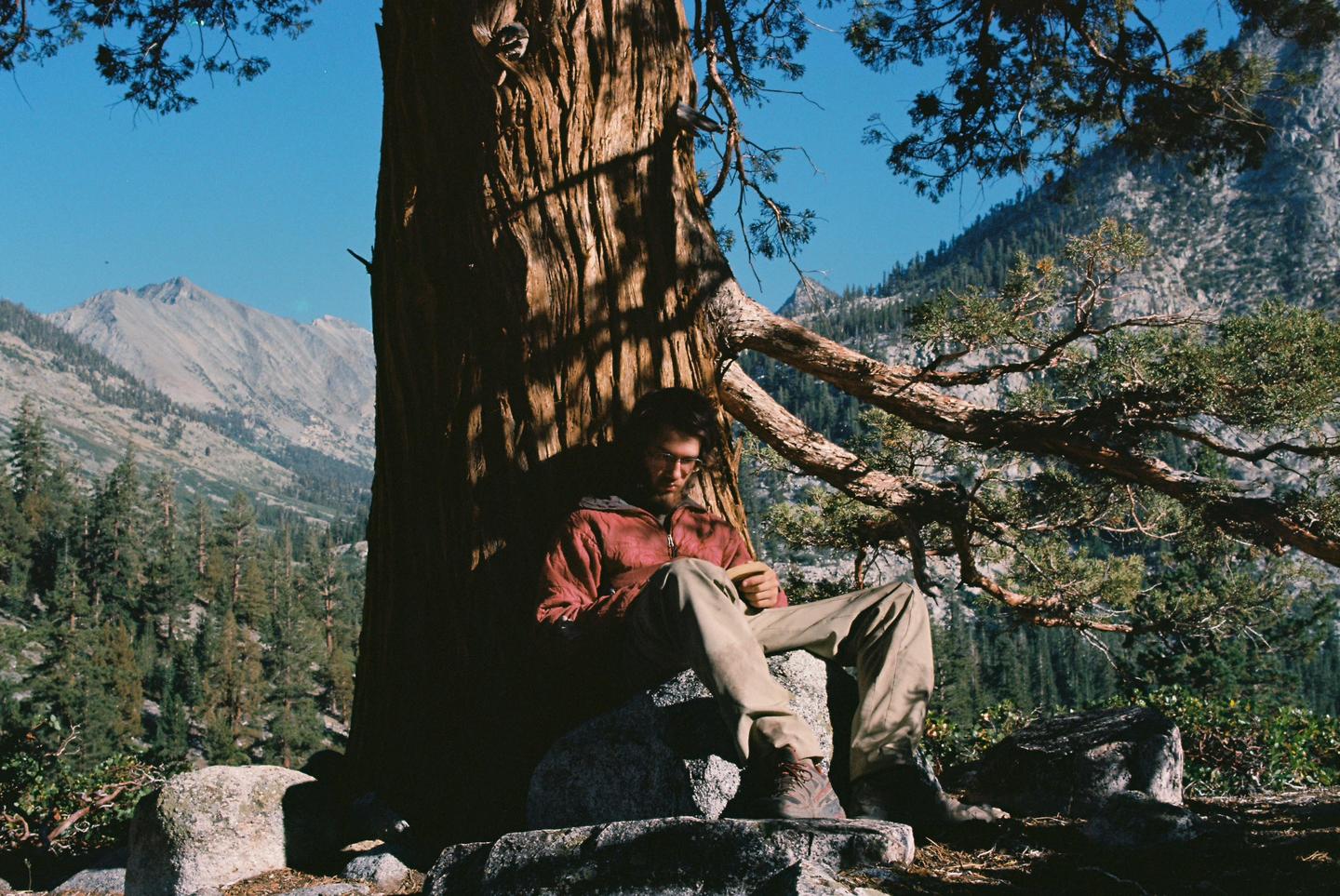 A man sits in the shade of a large tree with mountains and a forest in the background.