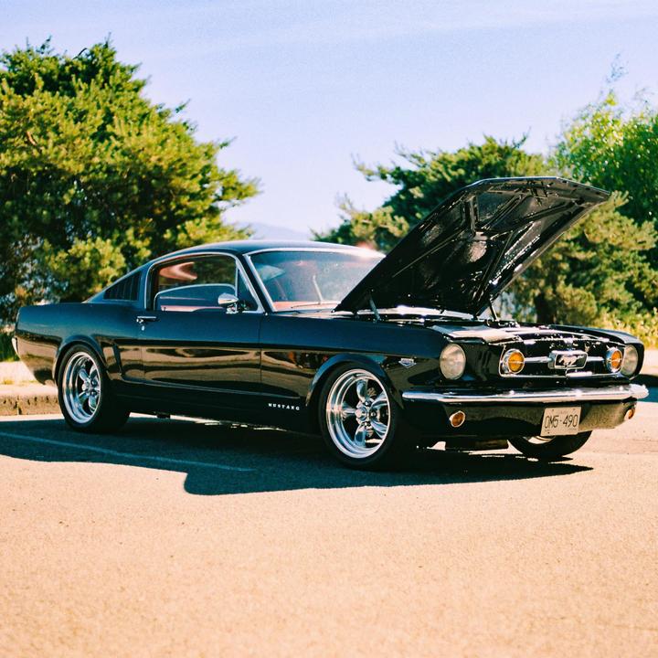 A black Ford Mustang with its hood open is parked on asphalt next to green trees.