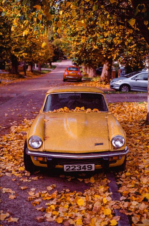 A yellow car is parked on a street covered in autumn leaves, with trees lining the road.
