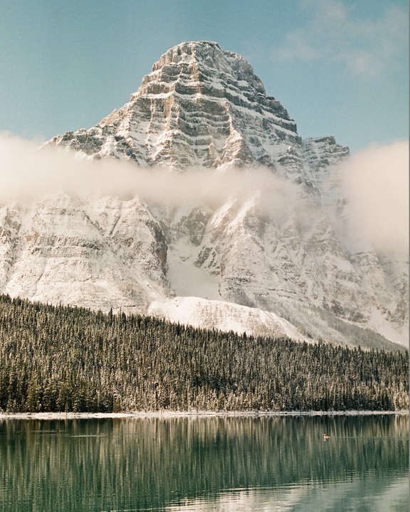 A snow-covered mountain rises above a forest and a lake with a duck.