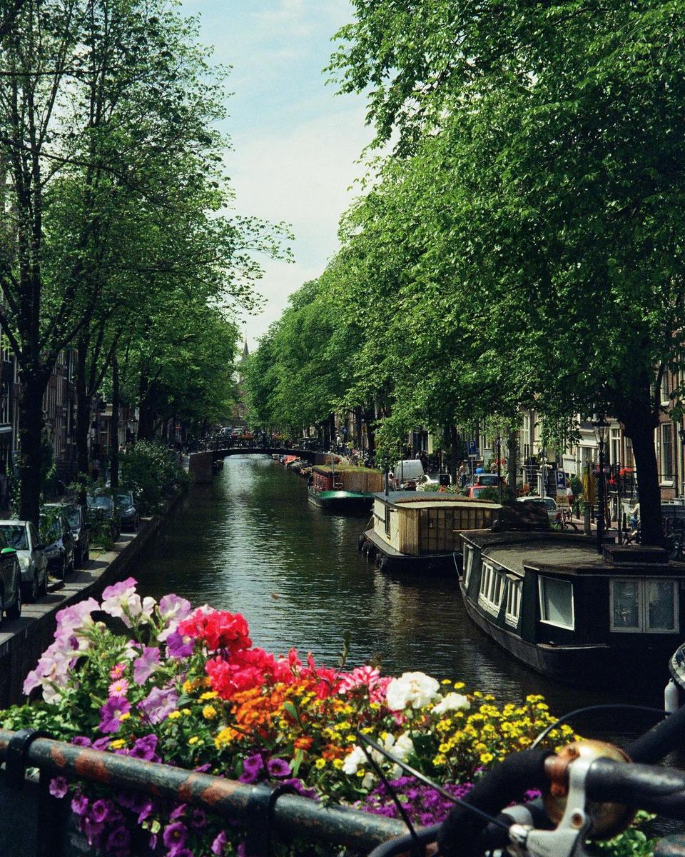 A canal with houseboats is lined with trees and buildings, with a colorful flower box in the foreground.
