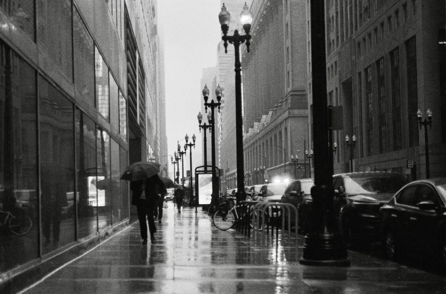 A person with an umbrella walks down a wet city street lined with tall buildings and parked cars.