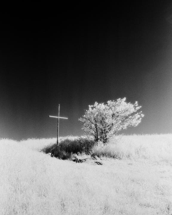 A cross stands on a grassy hill next to a tree with bright foliage under a dark sky.