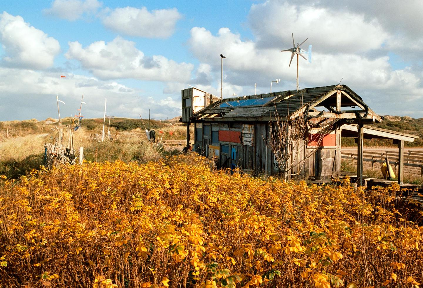 A wooden shack with solar panels and a wind turbine on its roof stands among yellow foliage and dunes under a cloudy sky.