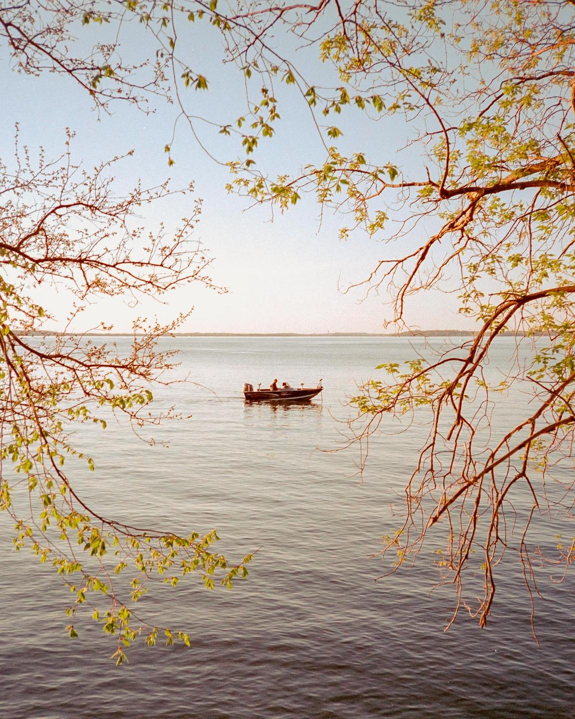 A small boat with two people is visible on a body of water, framed by tree branches with green leaves.