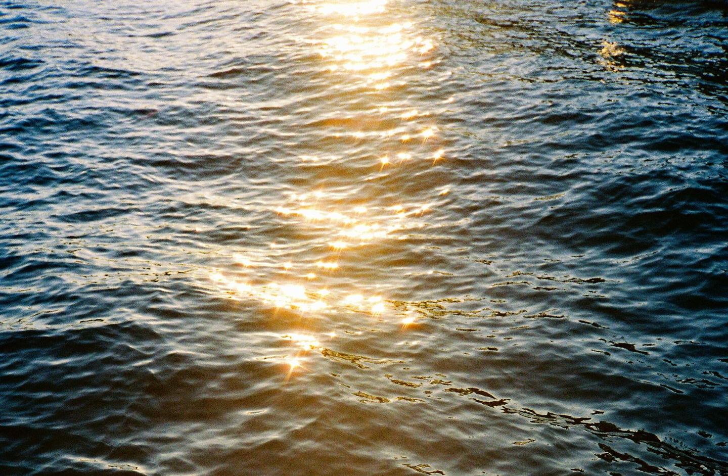 Sunlight reflects off the rippling surface of a body of water.