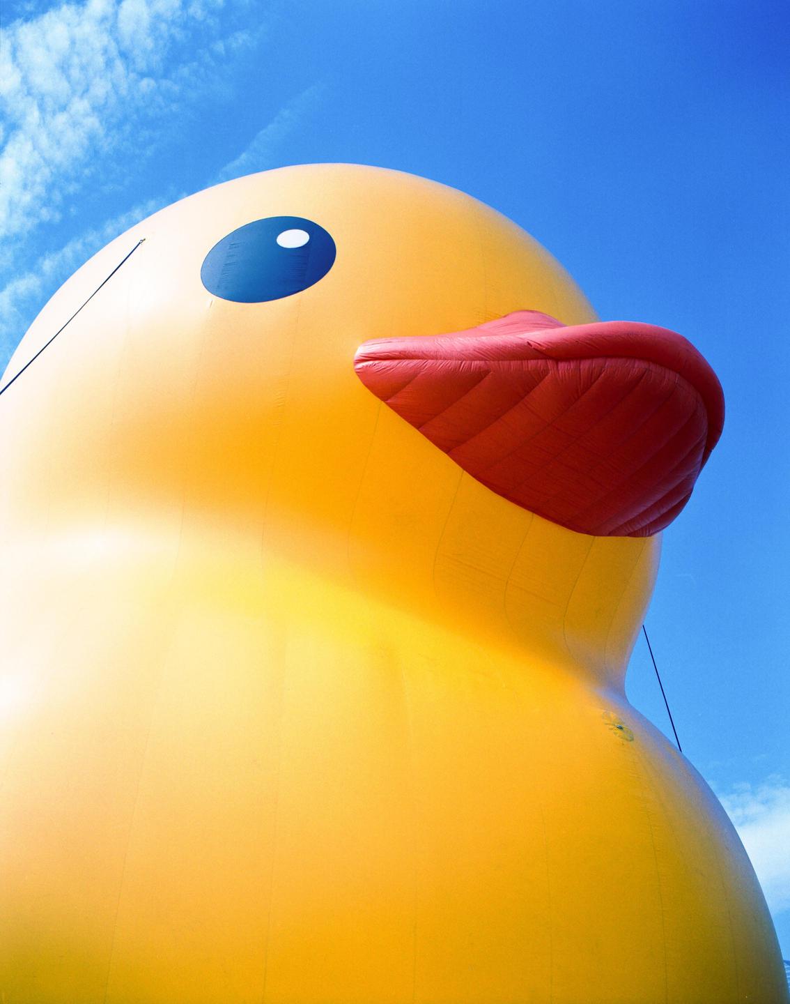 A giant yellow inflatable duck with a red beak is shown against a bright blue sky with wispy clouds.