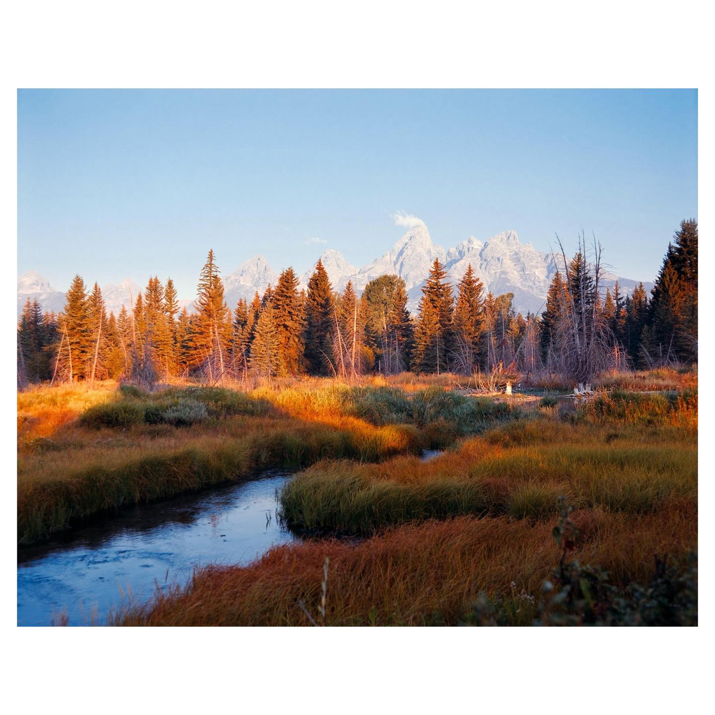 A winding stream flows through a grassy field with a forest and snow-capped mountains in the background.