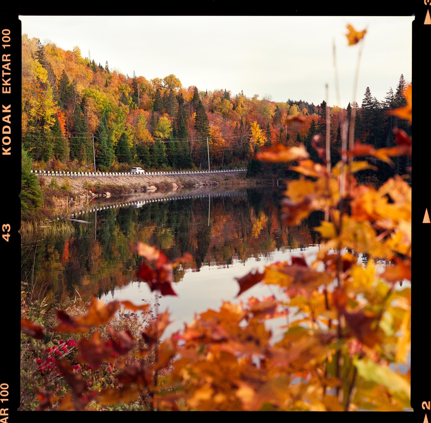 A white car drives on a road next to a lake reflecting autumn trees.