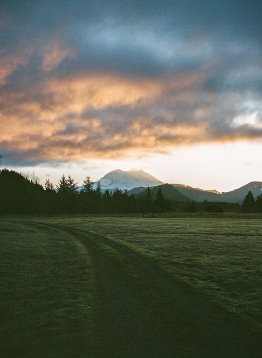 A dirt road curves through a grassy field towards a forest with a snow-capped mountain in the distance under a cloudy sky.