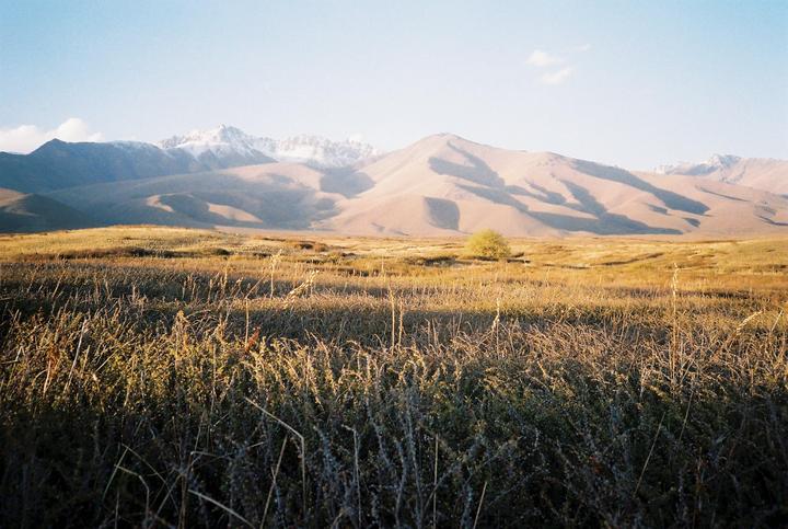 A vast field of dry grass stretches towards distant mountains, some of which are topped with snow.