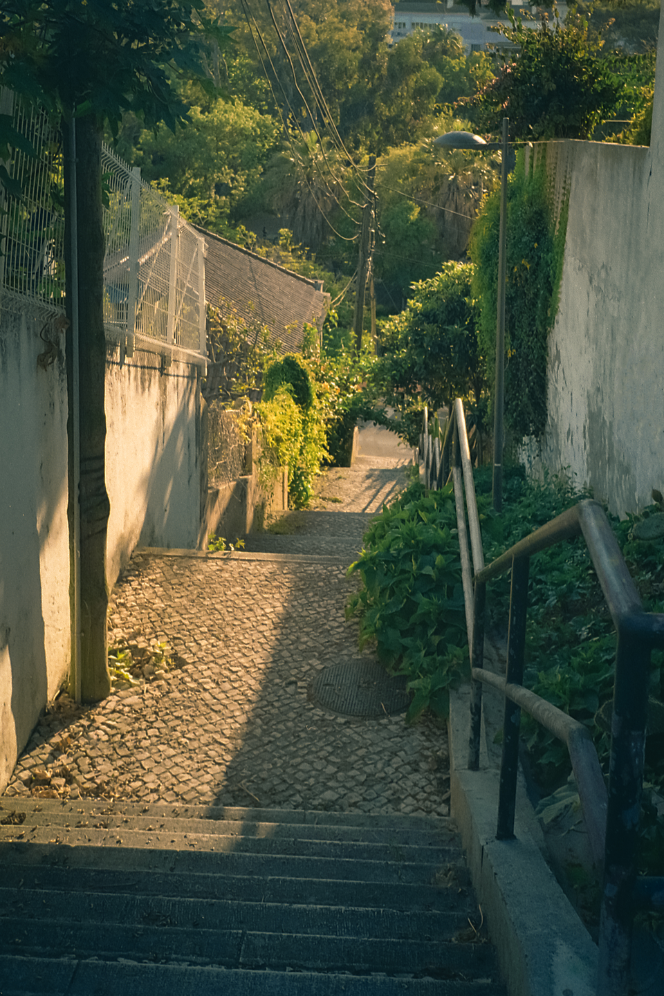 A narrow, cobbled path with steps and a metal railing descends between two walls covered in lush green foliage, illuminated by golden hour sunlight.