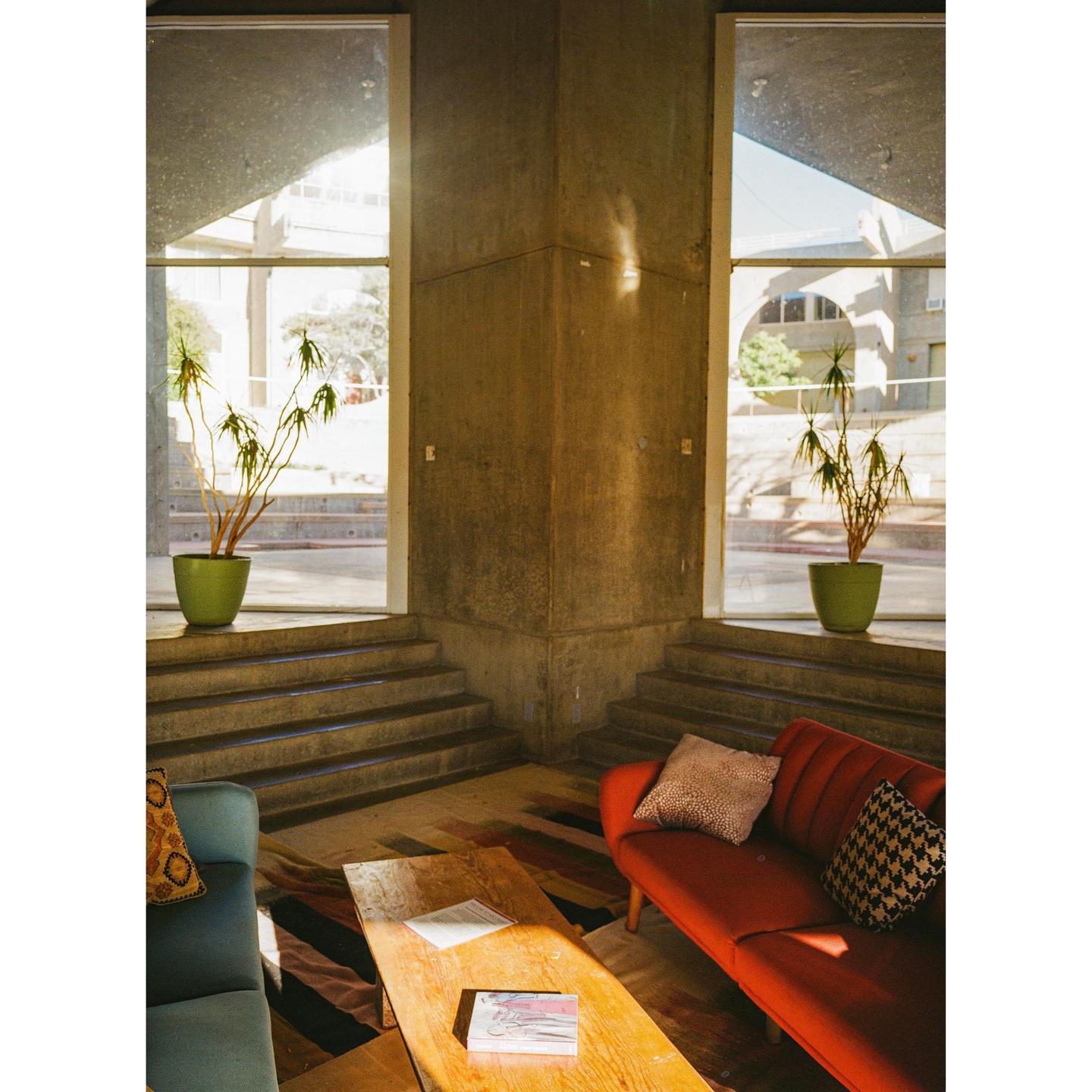 Sunlight streams into a room with concrete walls, two potted plants, and a red and a blue sofa.