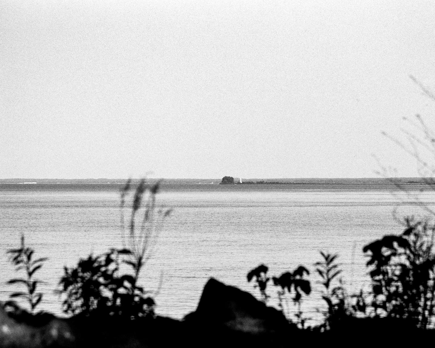 A body of water stretches across the frame with a distant landmass and silhouetted plants in the foreground.