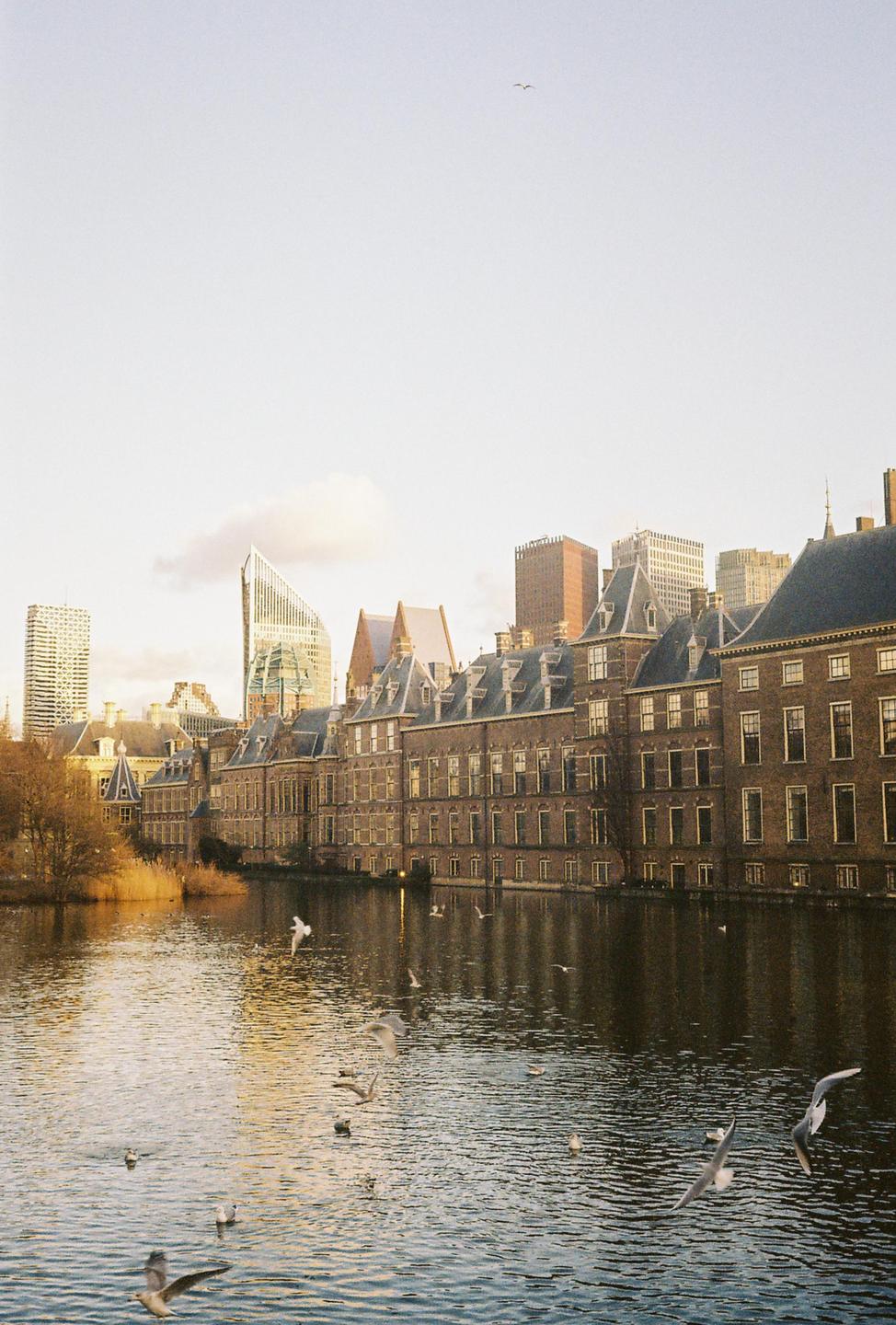 A body of water with birds in the foreground reflects the buildings of The Hague under a bright sky.