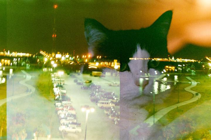 A double exposure shows a cat superimposed over a night cityscape with a parking lot and a winding path next to a body of water.