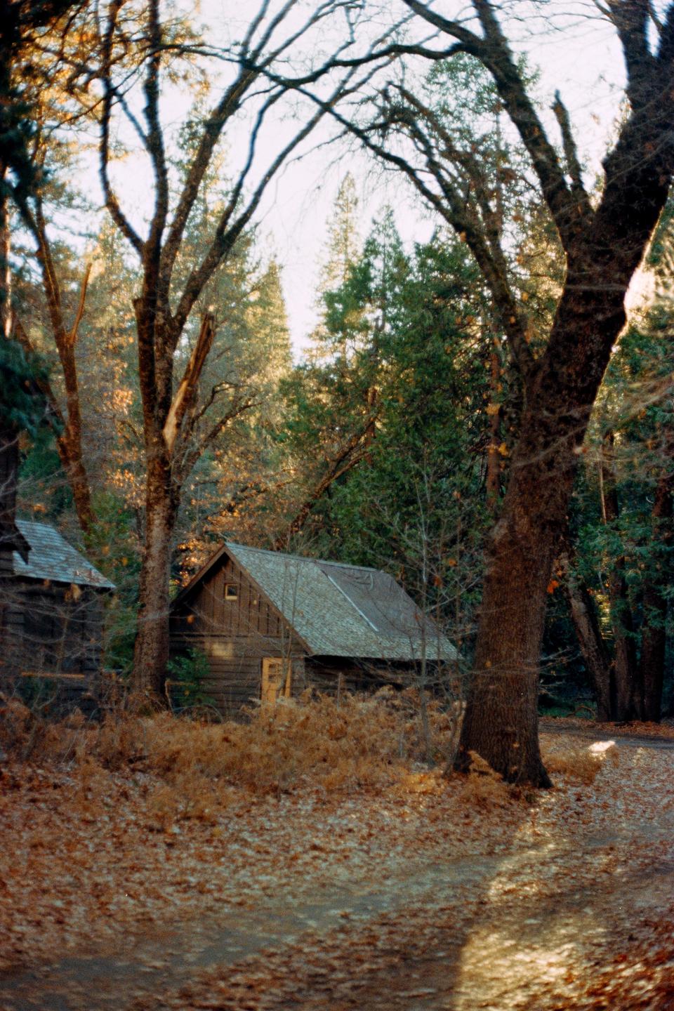 A rustic wooden cabin with a gray roof is nestled among trees with autumn foliage.
