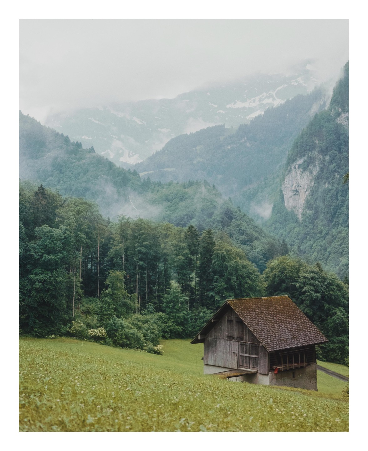 A wooden cabin with a dark roof sits on a grassy hill with a dense forest behind it and misty mountains in the distance.