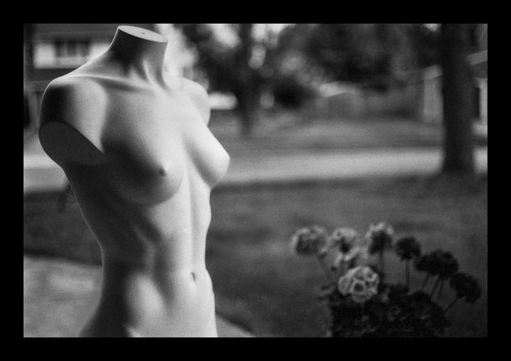 A headless mannequin torso stands in front of a blurred outdoor background with a potted plant in the foreground.