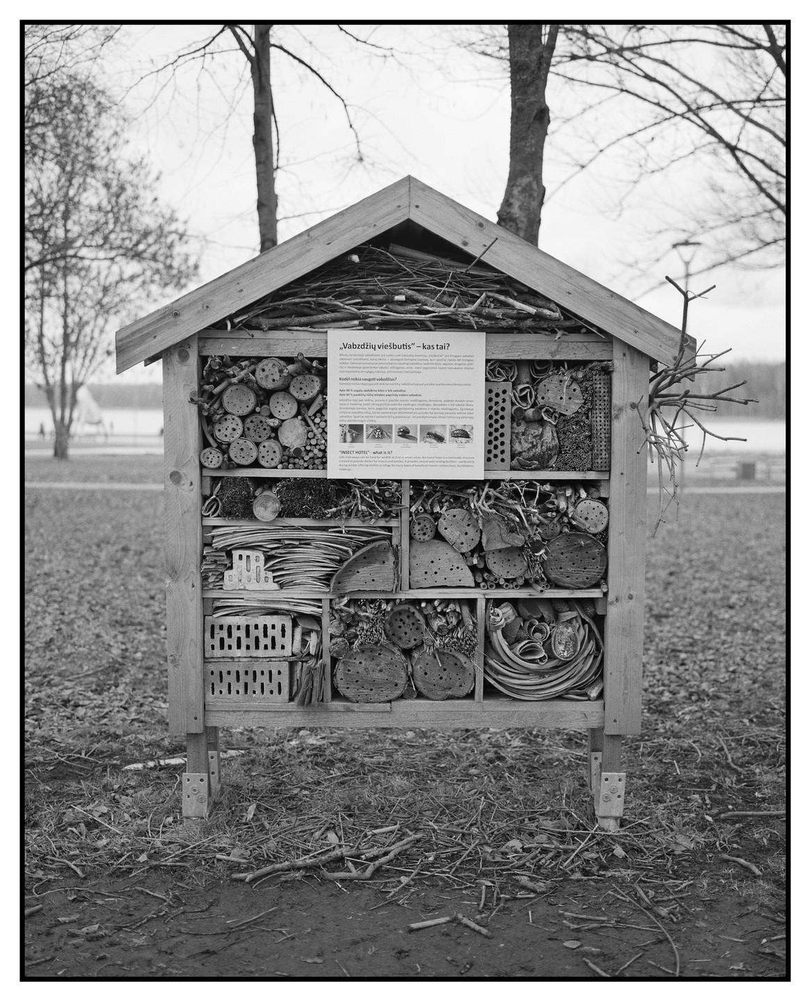 A wooden insect hotel stands in a grassy area with bare trees in the background.
