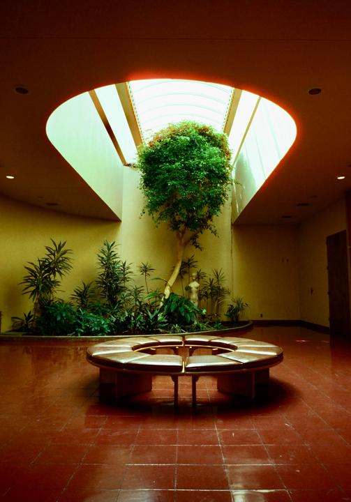 A circular bench sits on a red tiled floor beneath a skylight, surrounded by plants and a tree.