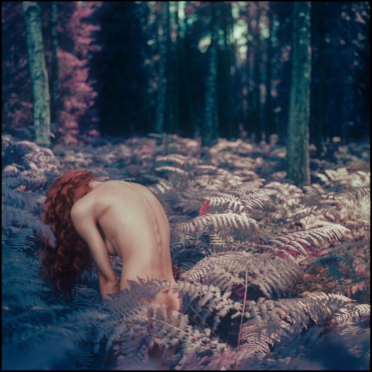 A woman with long red hair is kneeling in a forest surrounded by ferns.