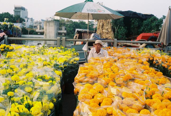 A man sits under an umbrella surrounded by yellow and orange flowers in plastic bags at a flower market in Ho Chi Minh City.