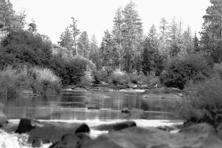 A river flows through a forest with a person standing on the far bank.