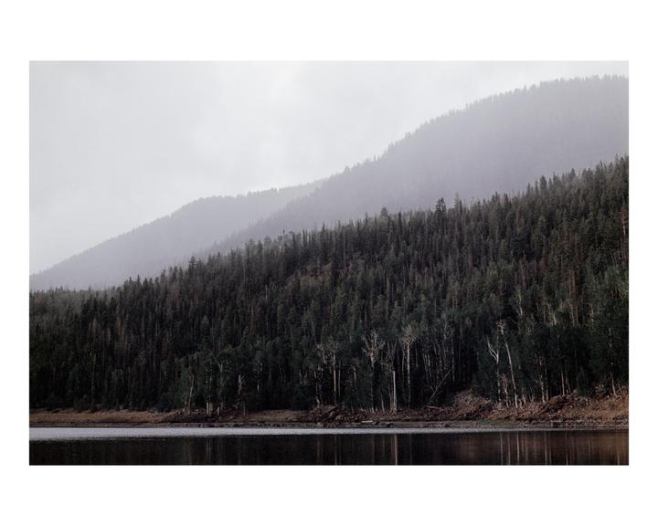 A dense forest covers a mountain range that slopes down to a calm lake under a hazy sky.