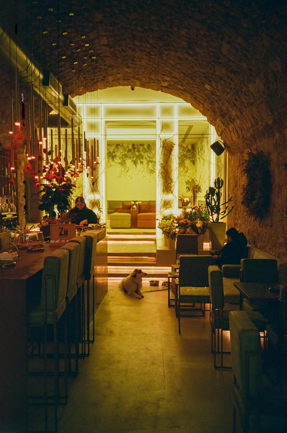 A dog lies on the floor of a bar with a vaulted stone ceiling, with a woman sitting at the bar and another woman sitting on a couch.