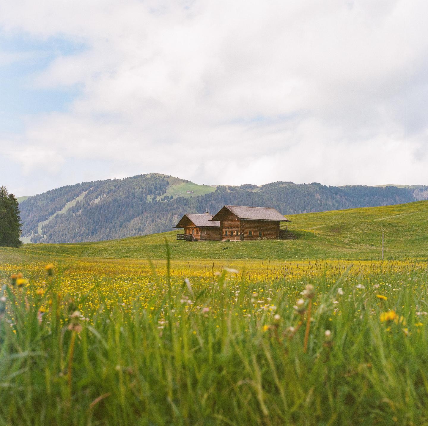 Two wooden cabins sit on a green hillside covered in yellow wildflowers, with a forested mountain in the background under a cloudy sky.