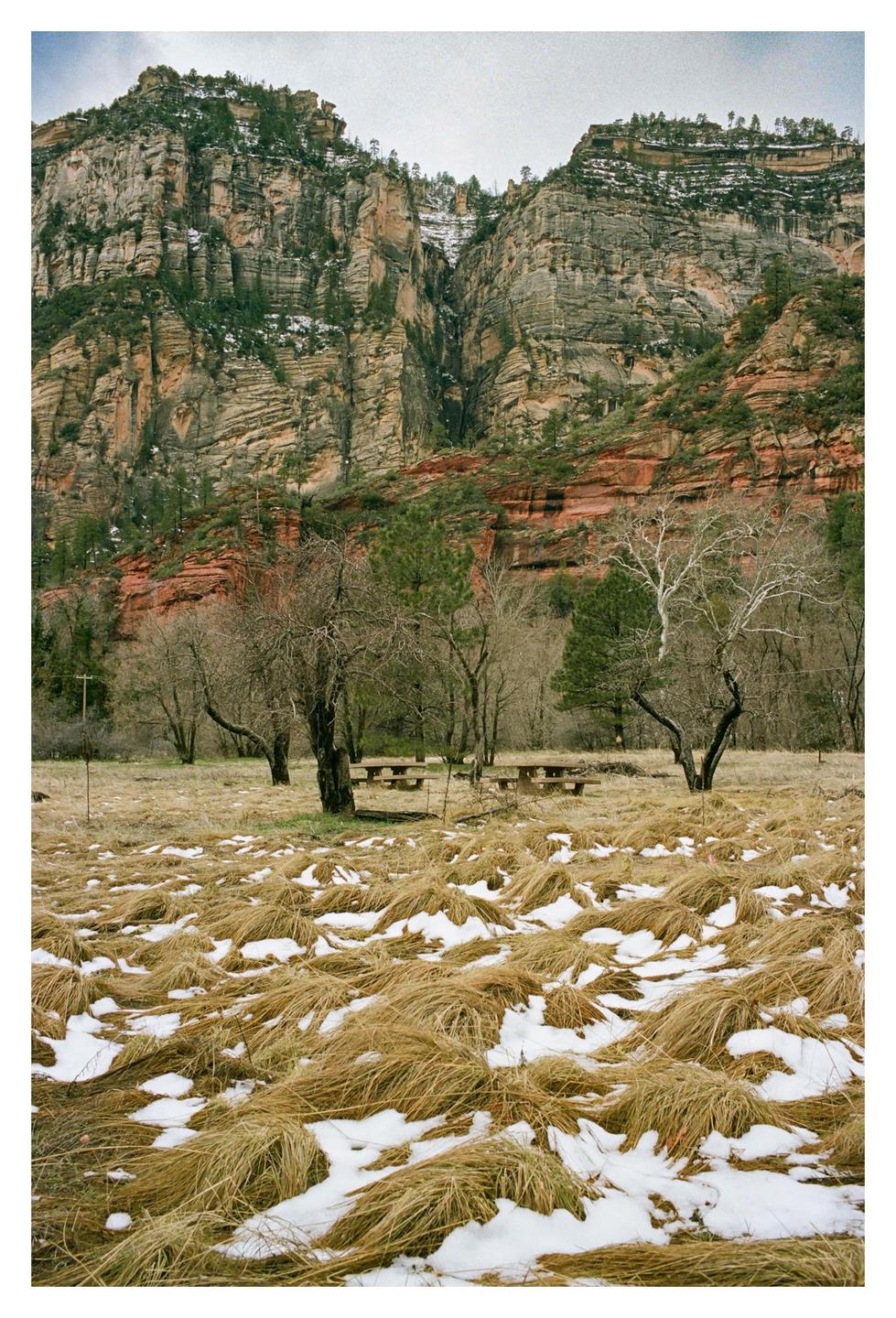 A field of dry grass and snow sits before a forest and a large mountain.