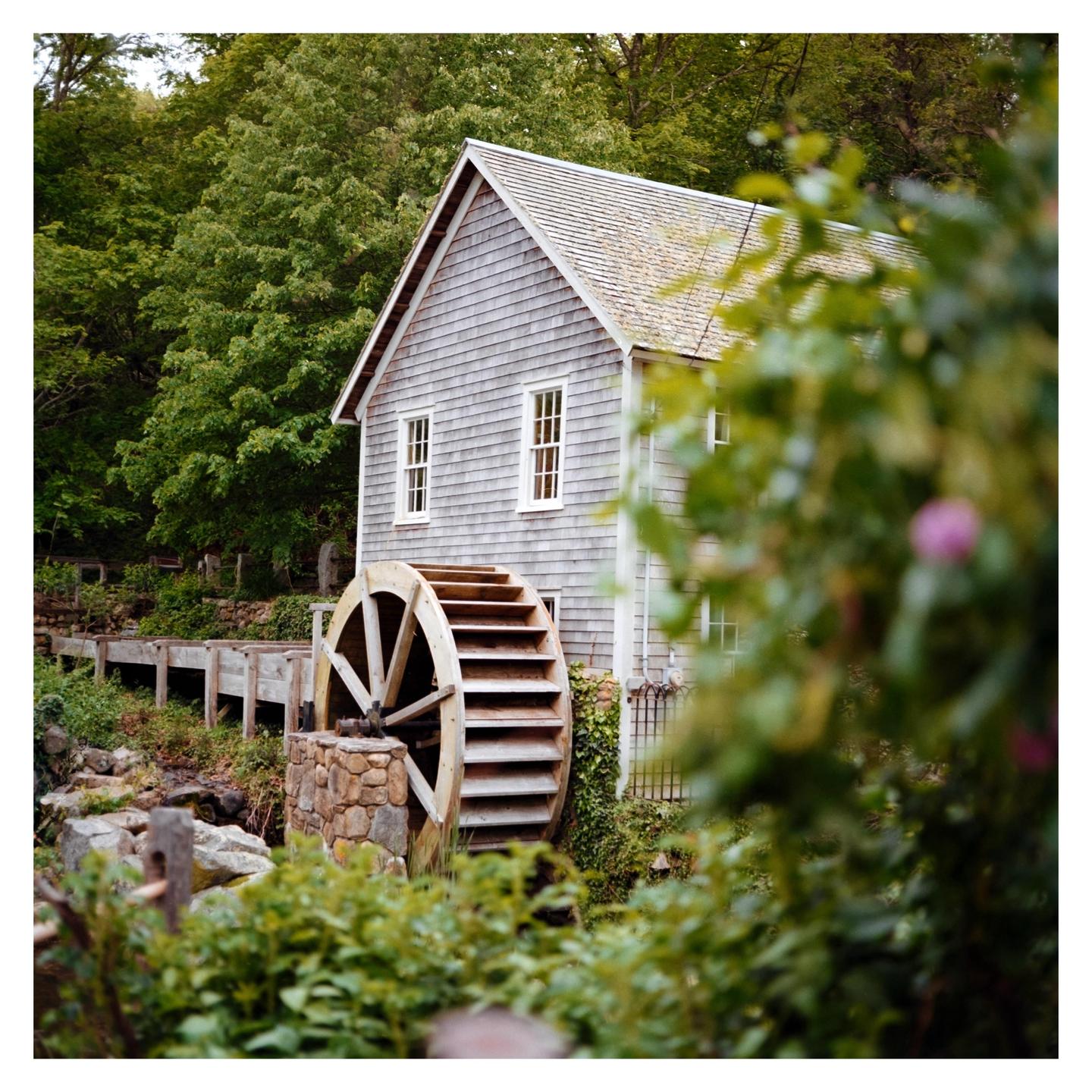 A wooden watermill with a large waterwheel is nestled among lush green foliage.