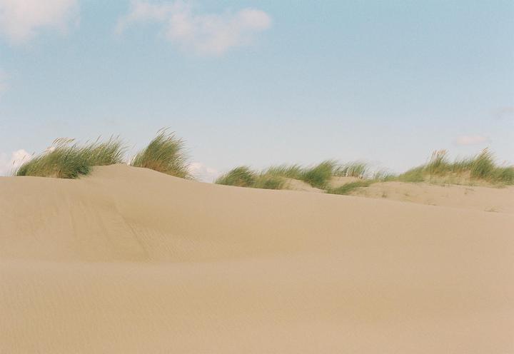 A landscape shot shows sand dunes with patches of green grass under a light blue sky with a few clouds.