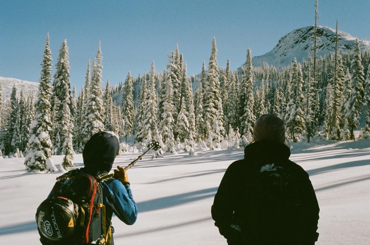 Two people stand in a snowy field looking at a forest of snow-covered pine trees and a mountain.