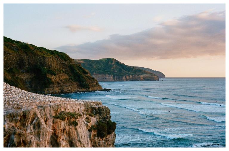 A colony of gannets covers a cliff overlooking a wavy ocean with surfers and distant cliffs under a cloudy sky.