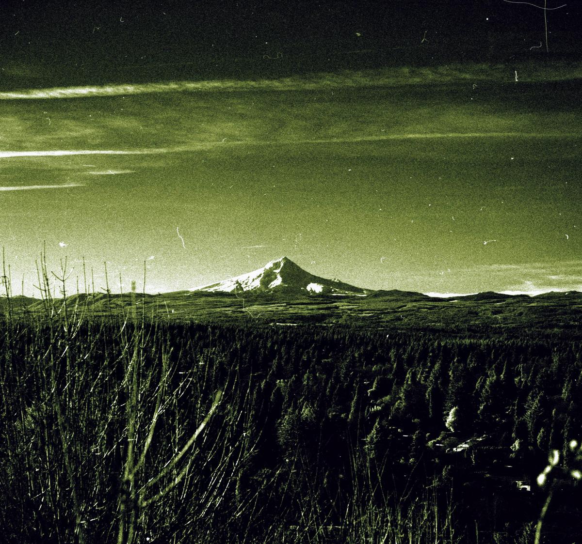 A snow-capped mountain rises above a dense forest under a hazy sky.