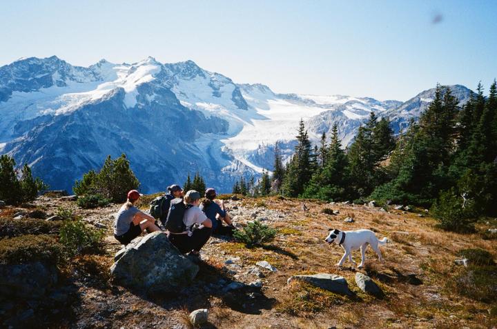 A group of people and a dog are on a mountain with snow-capped peaks and pine trees in the background.