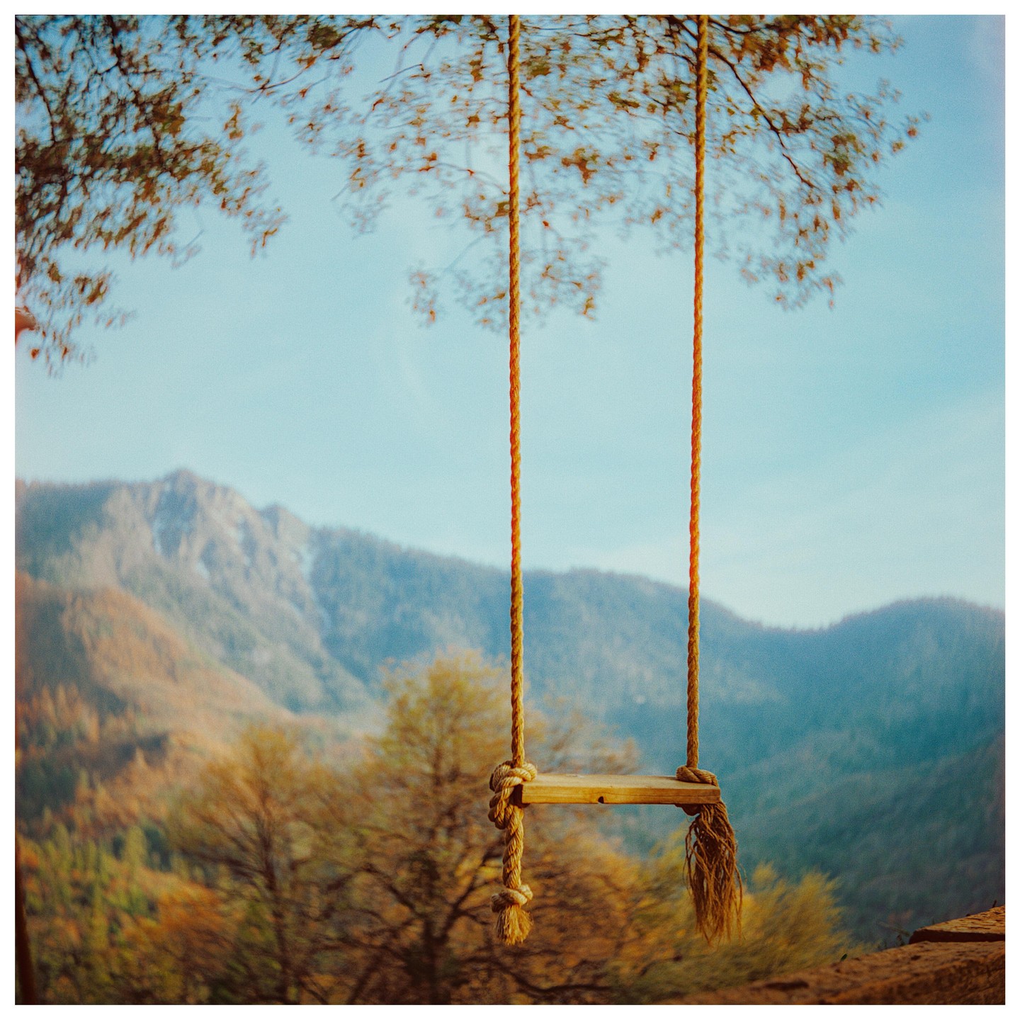 A wooden swing hangs from a tree branch with mountains and autumn foliage in the background.