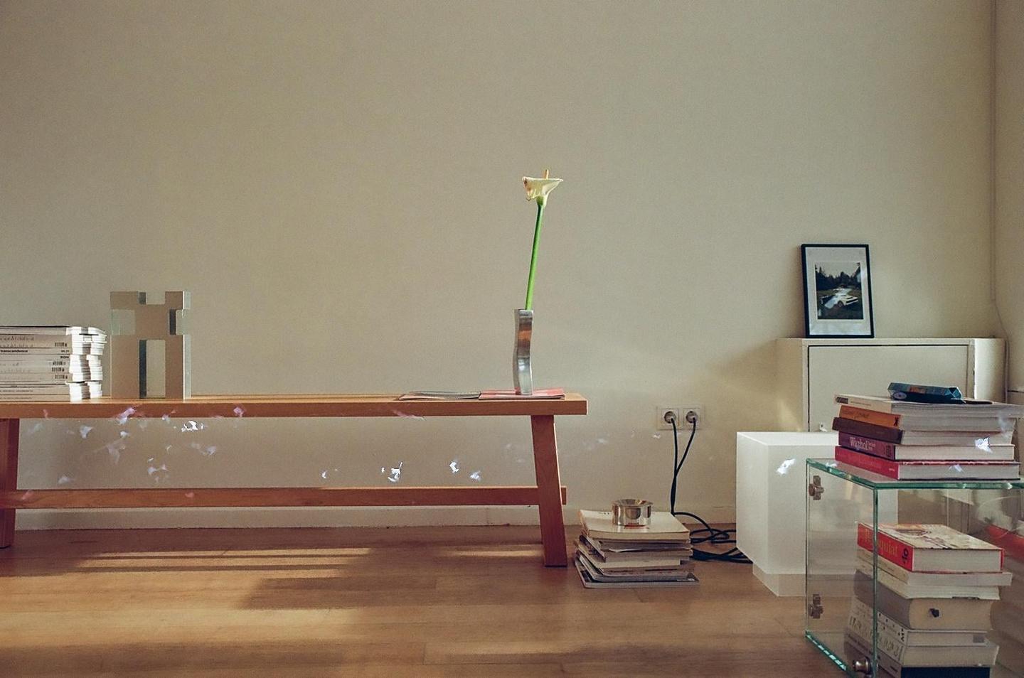 A single white flower in a vase sits on a wooden bench next to stacks of books and a framed picture.