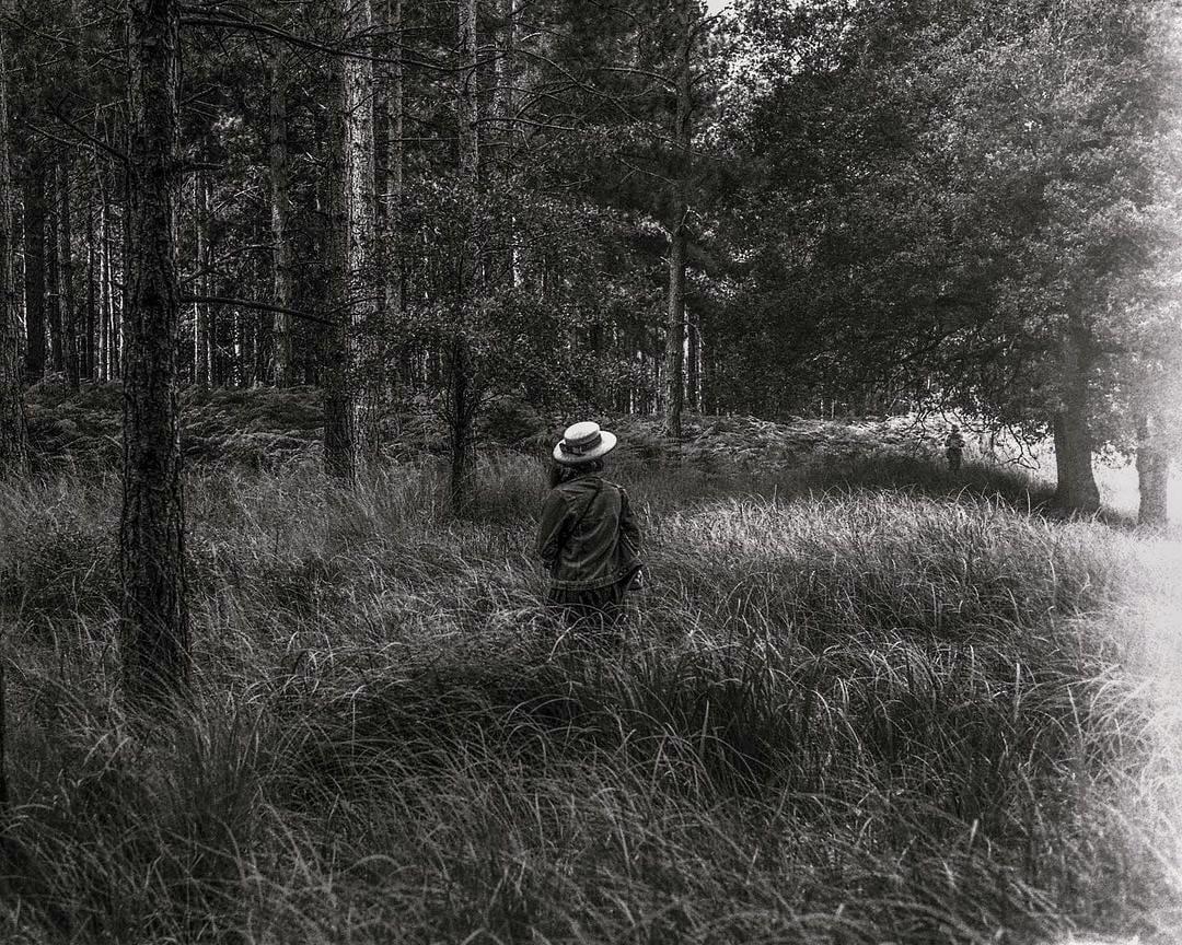 A person wearing a hat stands in a field of tall grass, looking towards a forest.