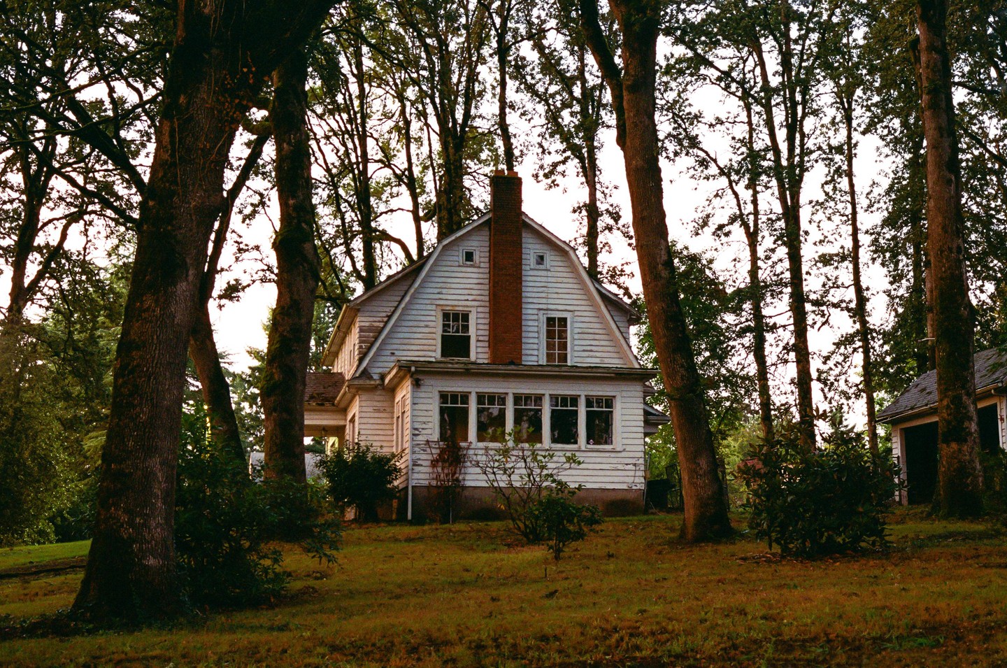 A white house with a red brick chimney stands among tall trees in a grassy yard.