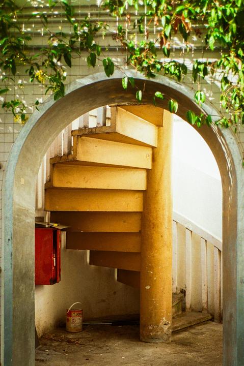 A yellow spiral staircase is visible through an archway, with green vines hanging from above.
