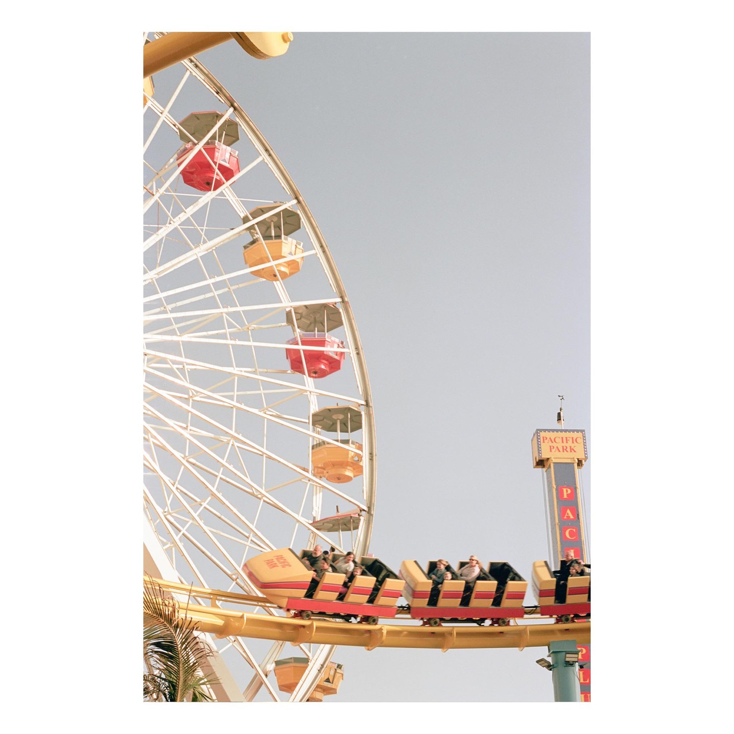 A roller coaster with people on it passes in front of a ferris wheel and a sign for Pacific Park.