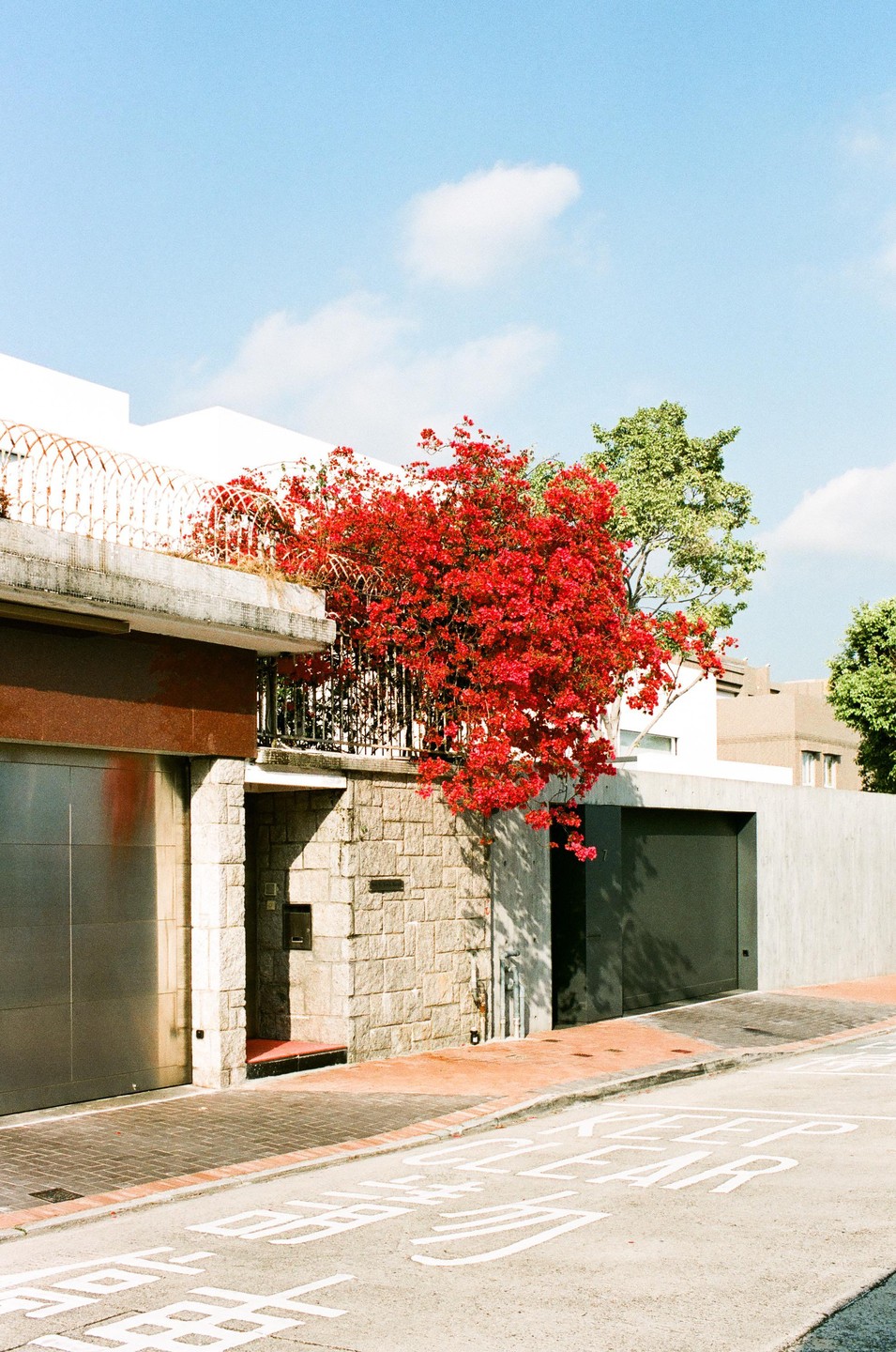 A vibrant red bougainvillea bush grows over a wall with barbed wire in front of a modern building with garage doors.