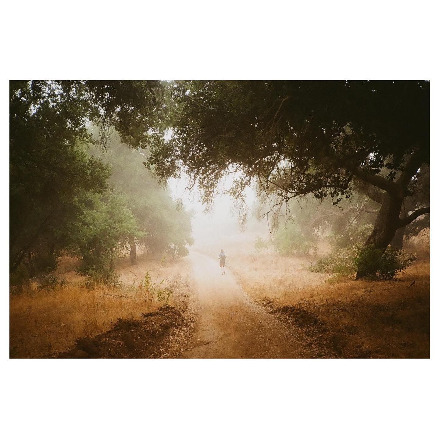 A person runs on a dirt path through a hazy, tree-lined landscape.
