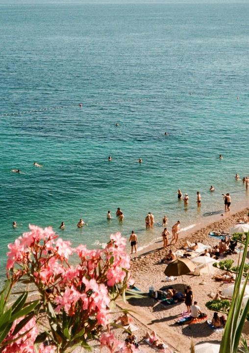 A beach with many people swimming and sunbathing is seen from above, with pink flowers in the foreground.