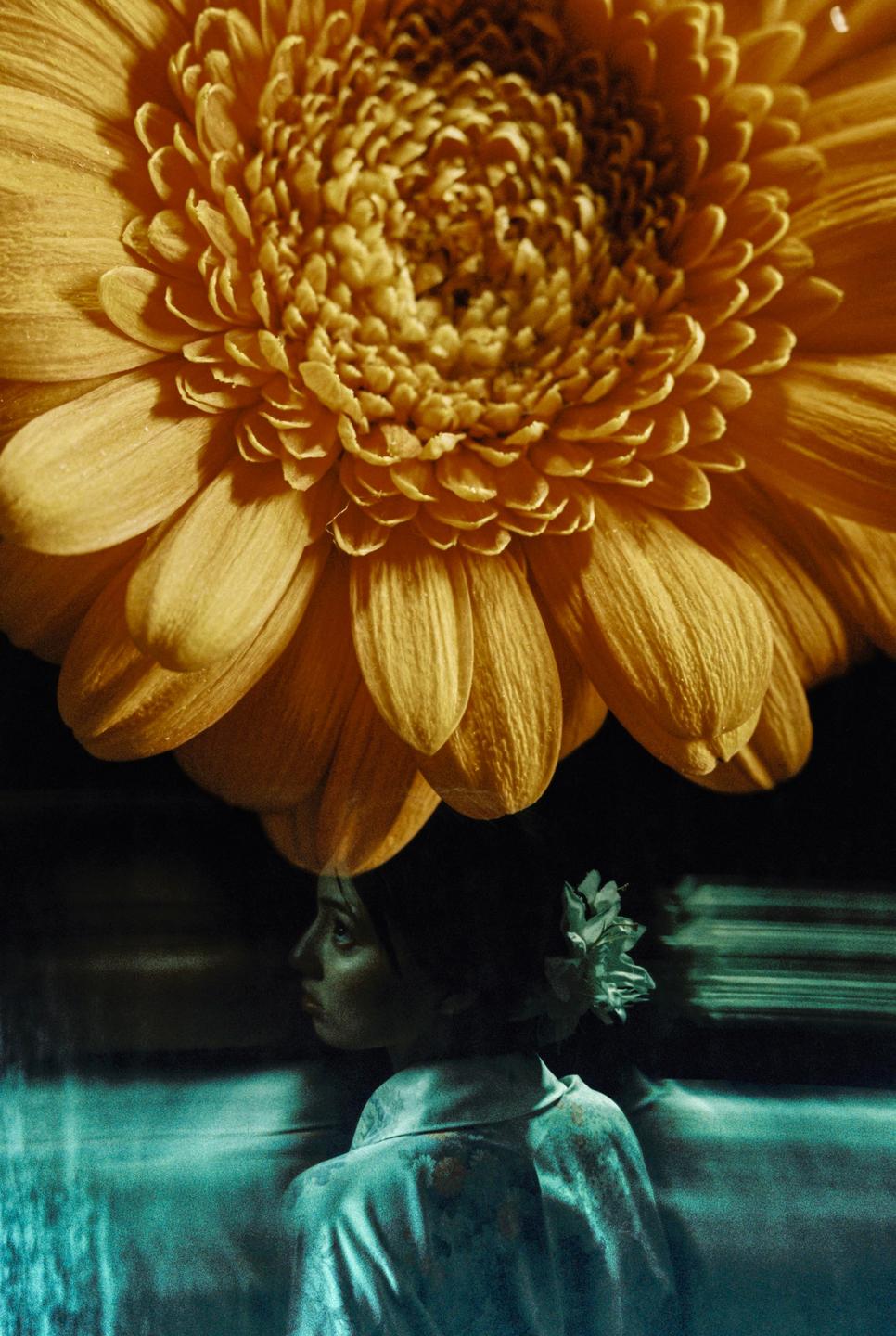 A woman in a kimono looks to the left, with a large yellow flower above her head.