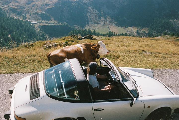 A person sits in a white convertible car next to a cow on a mountain road overlooking a valley.