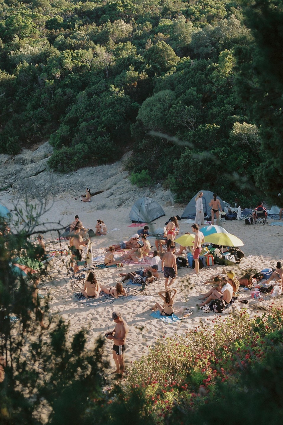 A large group of people are relaxing on a sandy beach with green trees and bushes in the background.